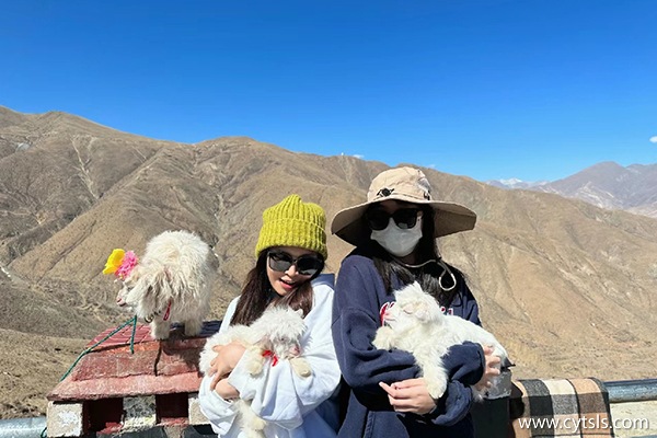江蘇南通在西藏報(bào)團(tuán)7天多少錢