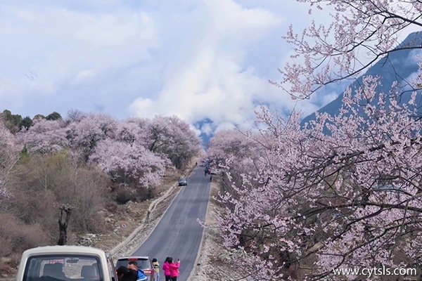 四月去林芝包車(chē)旅游多少錢(qián)