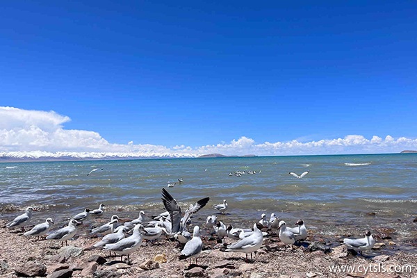 進藏旅游一周需要準(zhǔn)備什么